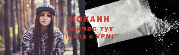 спайс Алексин