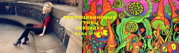 спайс Алексин