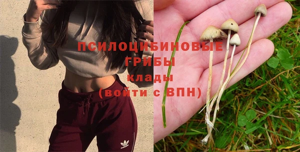 спайс Алексин