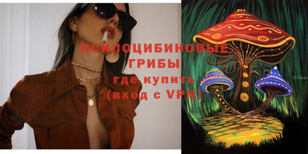 спайс Алексин