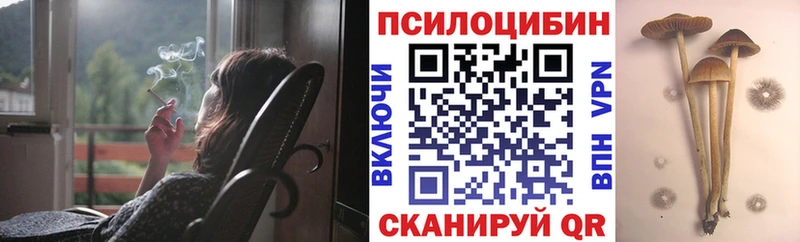 Псилоцибиновые грибы прущие грибы  Дюртюли 